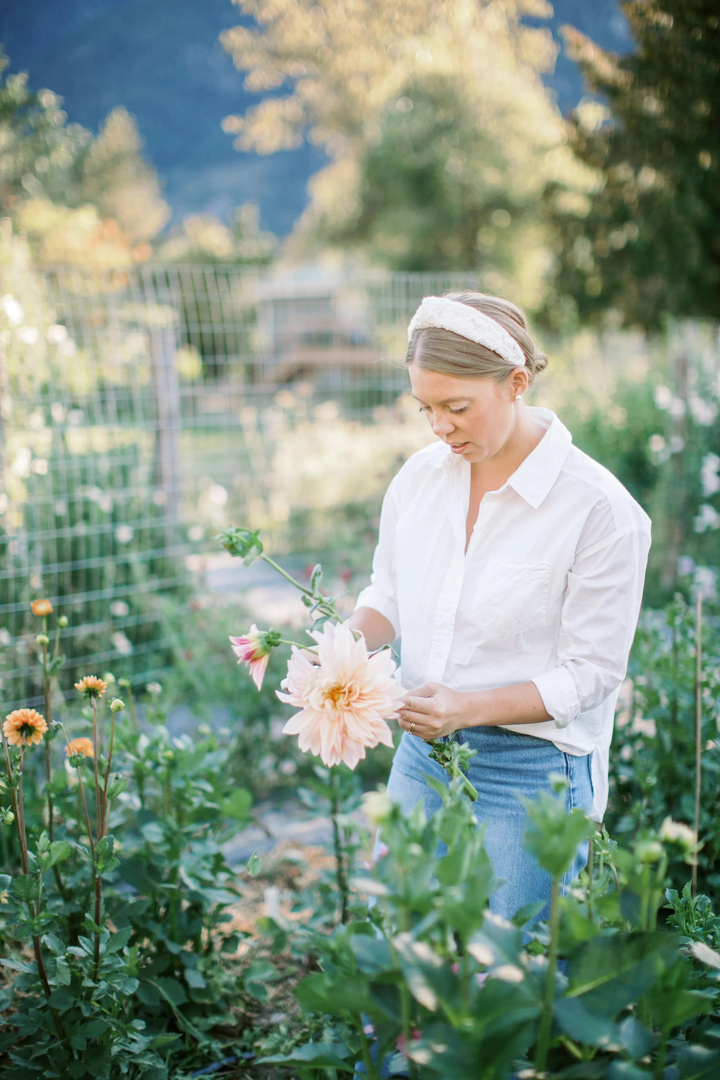 The Farm — Within the Flowers Farm and Gardens